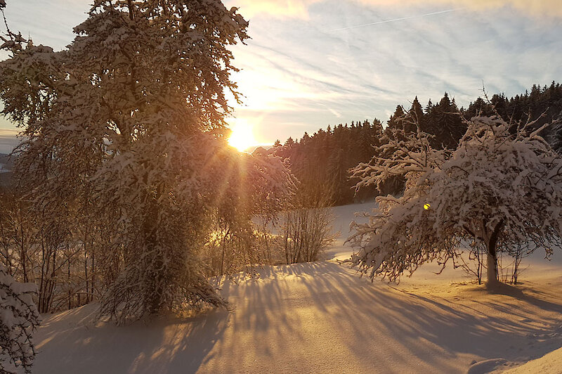 Winter Bayerischer Wald